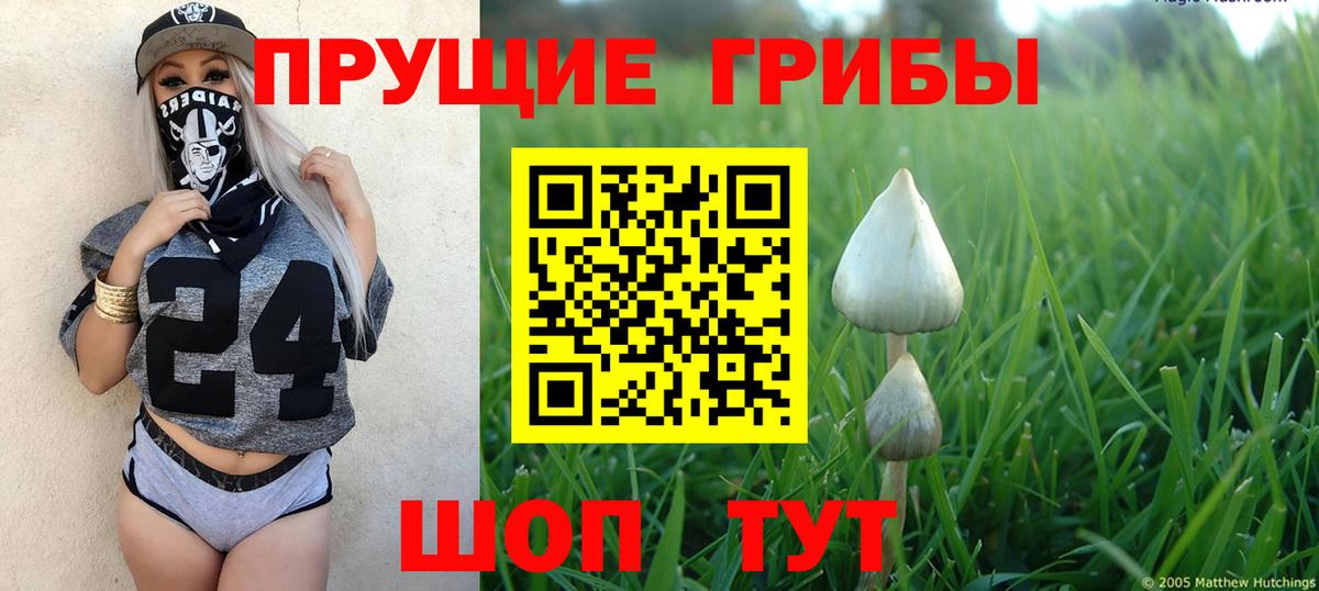 Псилоцибиновые грибы прущие грибы  Галлюциногенные грибы мицелий  Чебоксары  Вход с VPN 